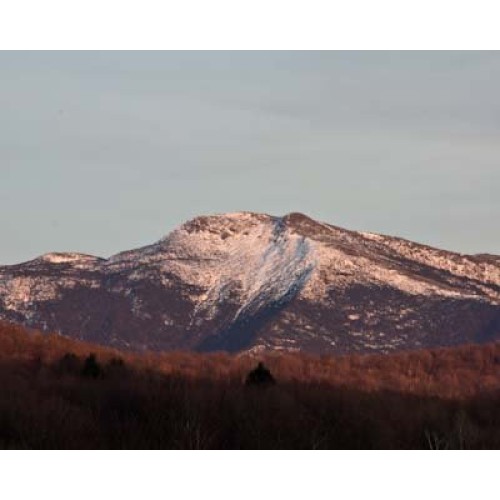 Mansfield Maple Pure Vermont Maple Syrup In Plastic Jug Golden D