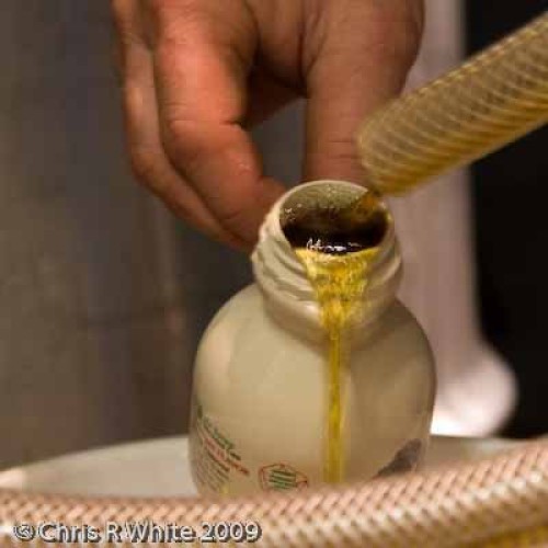 Mansfield Maple Pure Vermont Maple Syrup In Plastic Jug Golden D