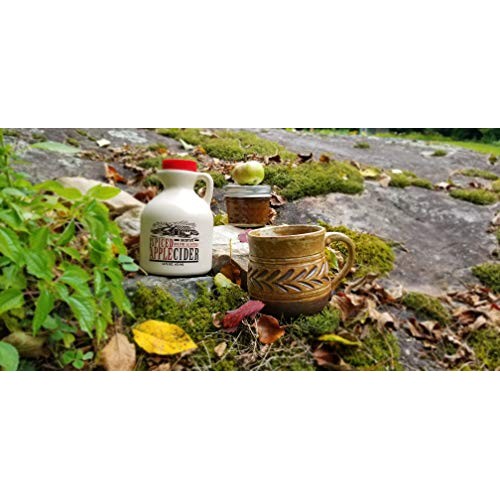 Mountain Cider Company Hot Spiced Apple Concentrate - 16 Ounces