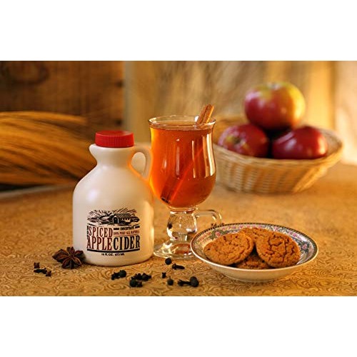 Mountain Cider Company Hot Spiced Apple Concentrate - 16 Ounces