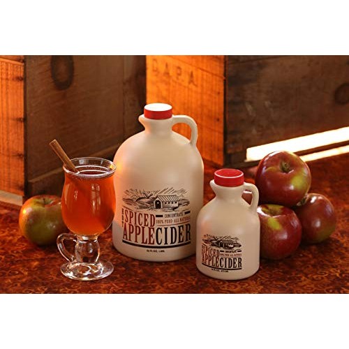 Mountain Cider Company Hot Spiced Apple Concentrate - 16 Ounces