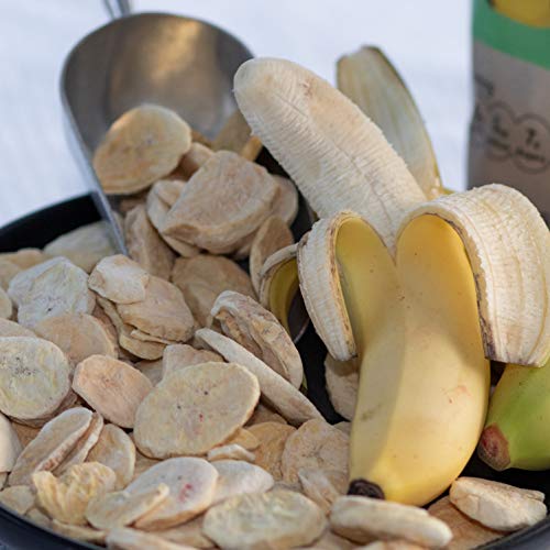 Mountain Fresh Food Freeze Dried Banana Chips | All Natural Heal