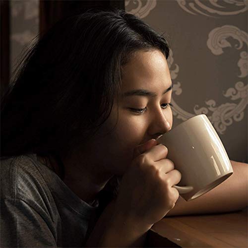 Medicinal & Herbal Tea Garden Seed Collection - Premium Assortme...