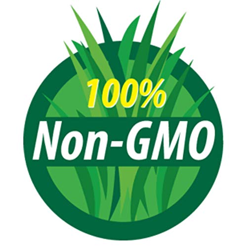 Medicinal & Herbal Tea Garden Seed Collection - Premium Assortme...