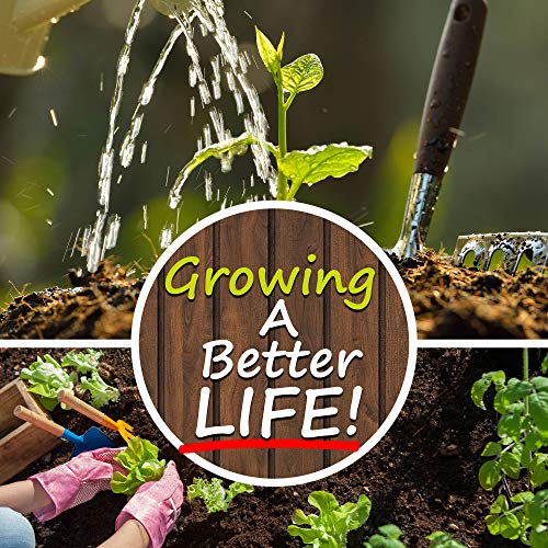 Medicinal & Herbal Tea Garden Seed Collection - Premium Assortme...