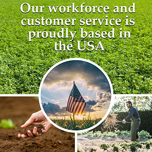 Medicinal & Herbal Tea Garden Seed Collection - Premium Assortme...