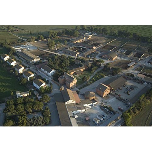 4 Pack Frozen Buffalo Mozzarella | Made With 100% Water Buffalo