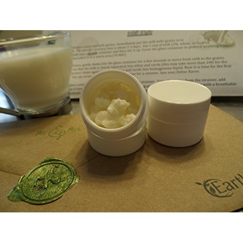 Milk Kefir Grains Fresh Mr &Amp; Mrs. Kefir