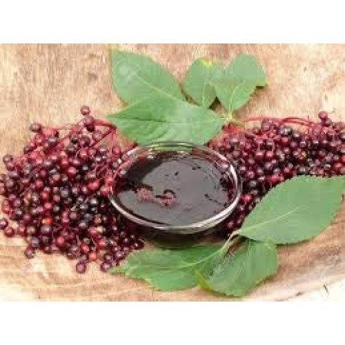 Huge 18 Oz Mrs. Millers Elderberry Jelly, Amish And Homemade!