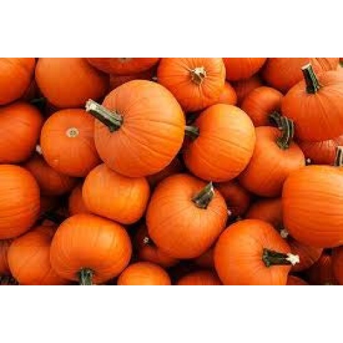 Mrs. Millers Amish Made Pumpkin Butter 9 Ounces - 2 Pack