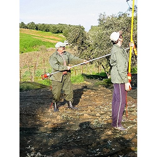 Chipotle Infused Extra Virgin Cold Pressed Olive Oil 500 Ml 17