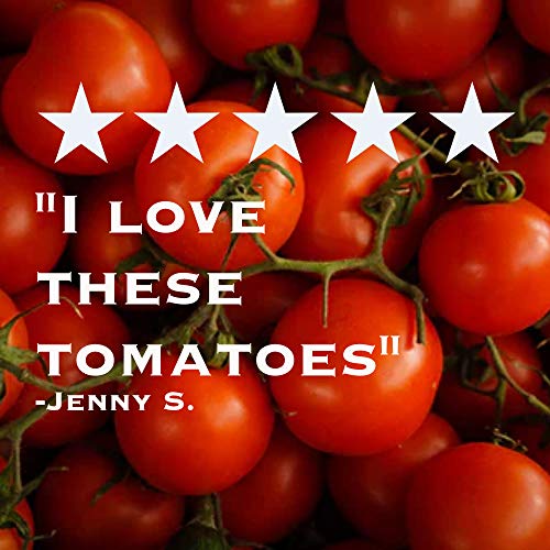 Muir Glen Canned Tomatoes, Organic Diced Tomatoes, No Sugar Adde