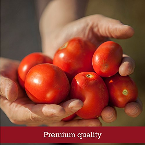 Muir Glen Canned Tomatoes, Organic Whole Peeled Tomatoes, No Sug