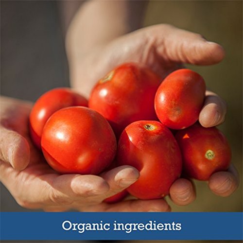 Muir Glen Vine Sweetened Organic Tomato Sauce, 8 Oz Pack Of 24