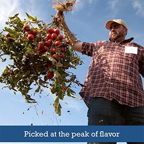 Muir Glen Vine Sweetened Organic Tomato Sauce, 8 Oz Pack Of 24