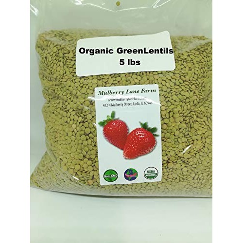 Green Lentils 5 Lbs Five Pounds Usda Certified Organic, Non-Gm
