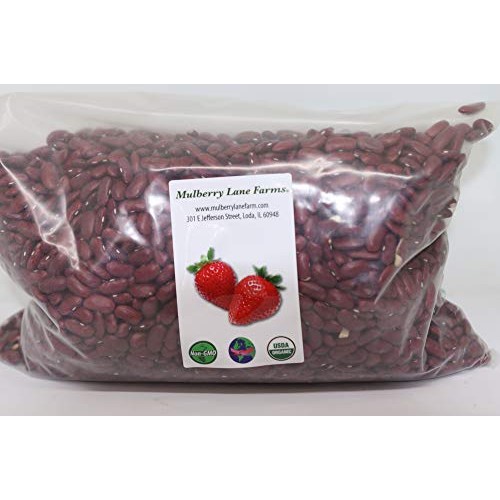 Kidney Beans, Red, 5 Pounds Dried, Usda Certified Organic, Non-G