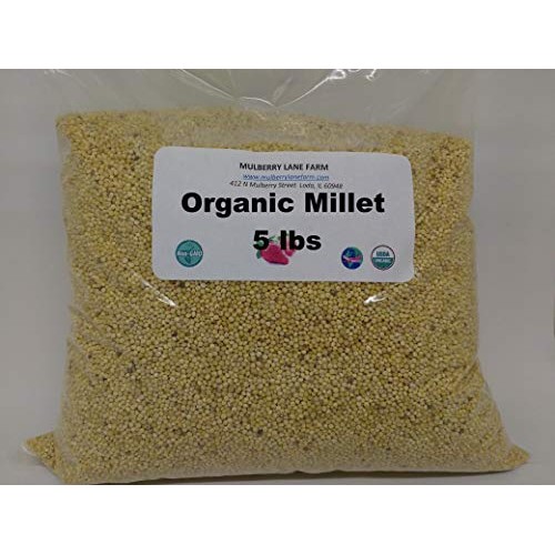 Millet Hulled 5 Pounds Usda Certified Organic Non-Gmo Bulk