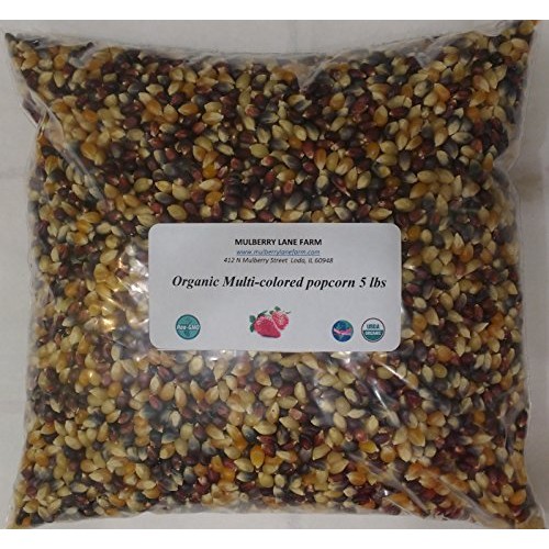 Multi-Colored Popcorn Popping Corn 5 Lbs Five Pounds Calico O