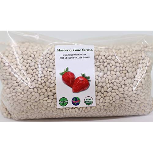 Navy Beans 5 Pounds Usda Certified Organic, Non-Gmo Bulk, Produc