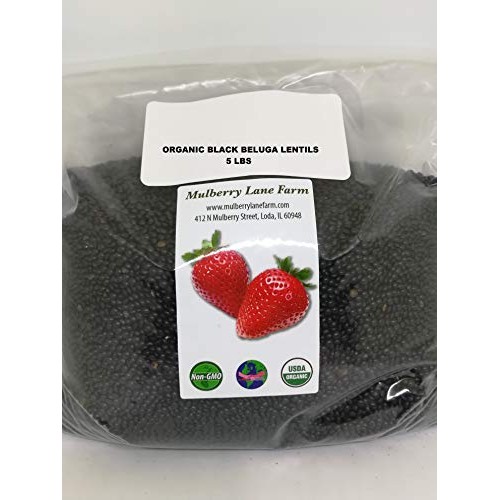 Black Beluga Lentils 5 Lbs Five Pounds Usda Certified Organic,