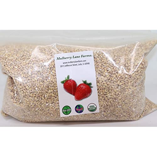 Pearled Barley 5 Pounds Pearl, Usda Certified Organic, Non-Gmo B