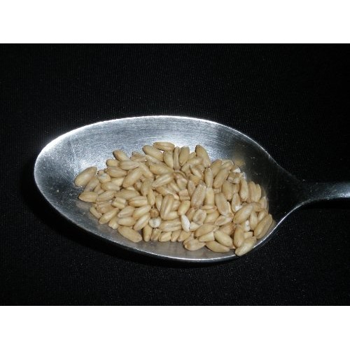 Whole Oats 5 Lbs Five Pounds Hulled, Groats, Usda Certified Or