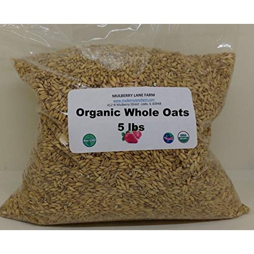 Whole Oats 5 Lbs Five Pounds Hulled, Groats, Usda Certified Or