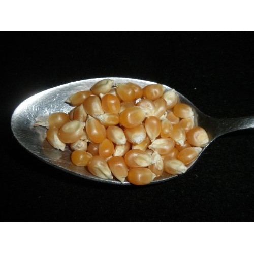 Yellow Popcorn Popping Corn, 5 Lbs Five Lbs Kernels, Usda Cert Yellow Popcorn Popping Corn, 5 Lbs Five Lbs Kernels, Usda Cert