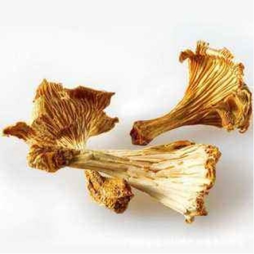 Dried Chanterelle Mushrooms, Premium Grade 2Oz