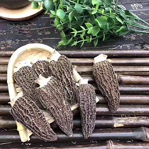 Dried Morel Mushrooms Morchella Conica 2Oz