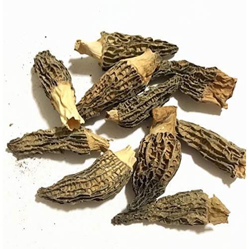 Dried Morel Mushrooms Morchella Conica 2Oz