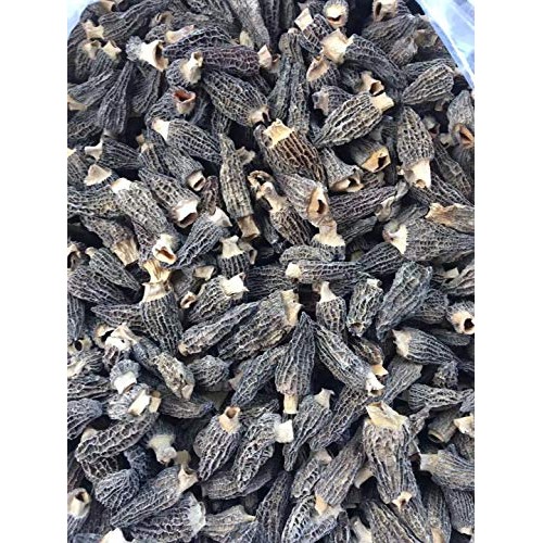Dried Morel Mushrooms Morchella Conica 2Oz