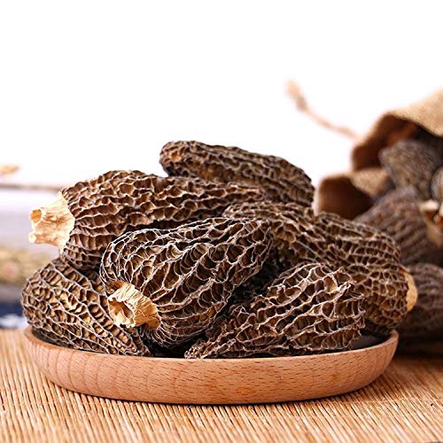 Premium Grade Dried Morel Mushrooms Morchella Conica 1Oz