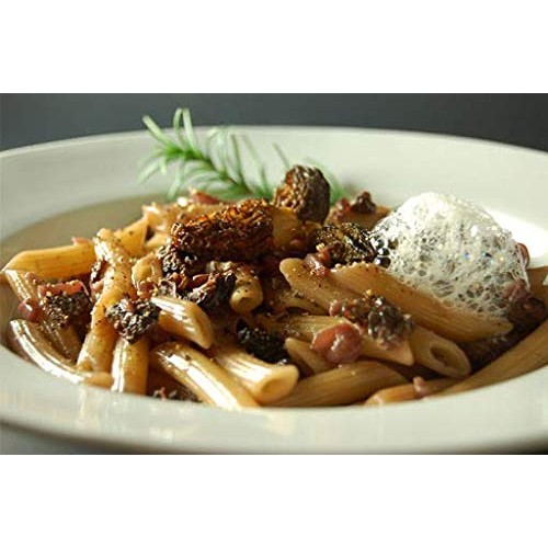 Premium Grade Dried Morel Mushrooms Morchella Conica 1Oz