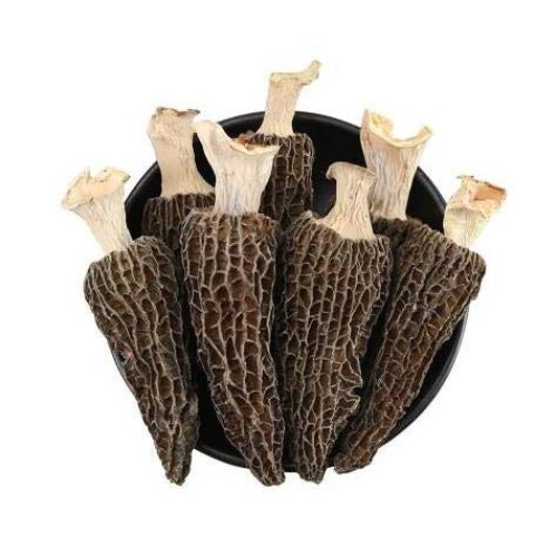 Premium Grade Dried Morel Mushrooms Morchella Conica 1Oz