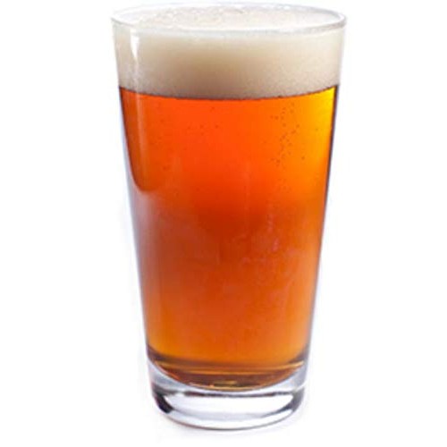 English Ale Advanced All Grain Homebrew 5 Gallon Beer Ingredient