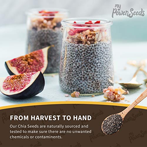 Certified Organic Chia Seeds By My Power Seeds 1 Pound Bag | N