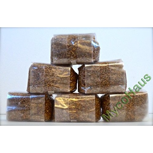 6 Lbs Sterilized Rye Grain Berries