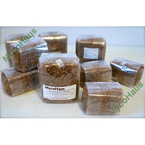 6 Lbs Sterilized Rye Grain Berries