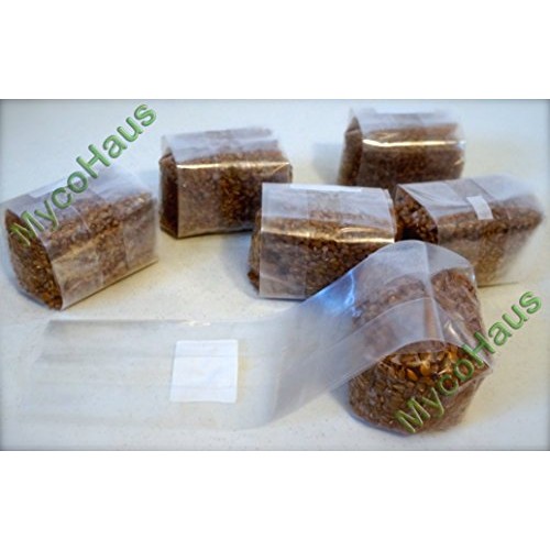 6 Lbs Sterilized Rye Grain Berries