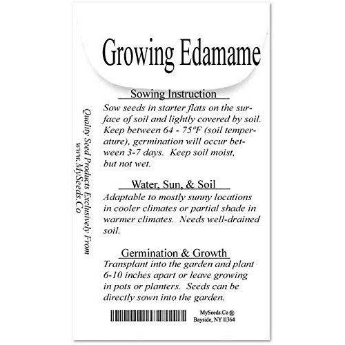 Japanese Edamame Seeds ~ Soy Bean High In Protein - Young Soy Be