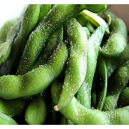 Japanese Edamame Seeds ~ Soy Bean High In Protein - Young Soy Be