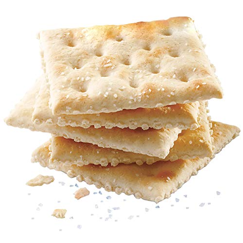 Nabisco Original Premium Saltine Crackers Topped With Sea Salt,
