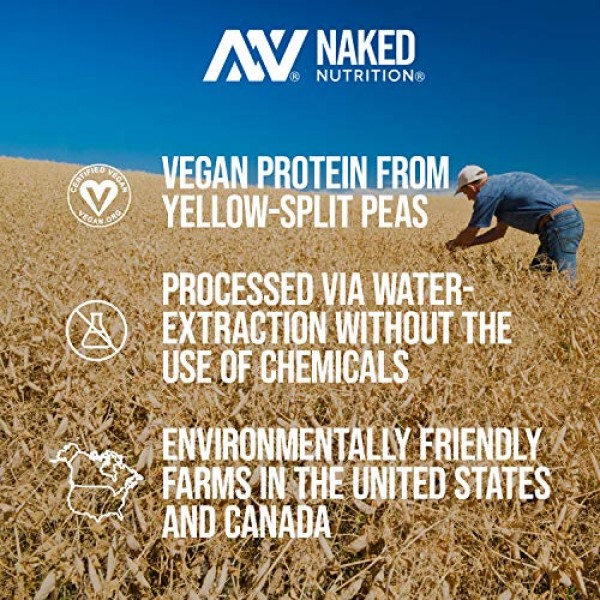Less Naked Pea - Vanilla Pea Protein - Pea Protein Isolate From