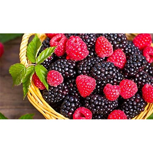 Napa Hills Wine Antioxidant Water - Berry Flavored Wine Water, N