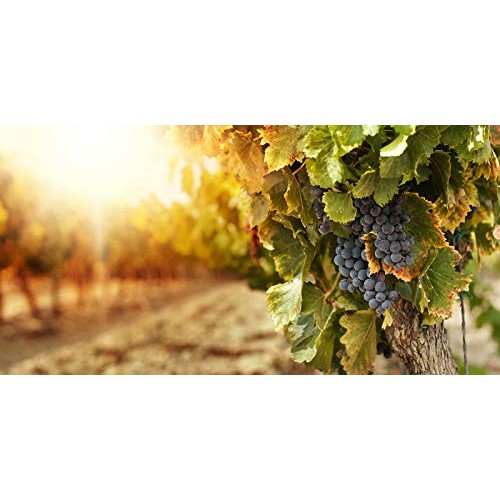 Napa Hills Wine Antioxidant Water - Berry Flavored Wine Water, N