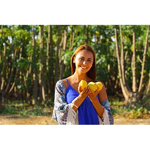 Usa Organic Cobquecura Papaya 20-160 Seeds