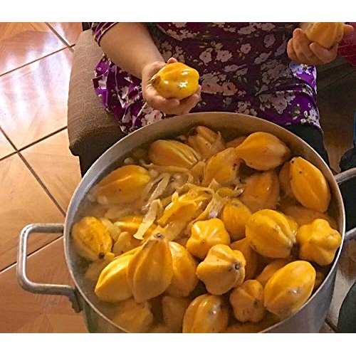 Usa Organic Cobquecura Papaya 20-160 Seeds