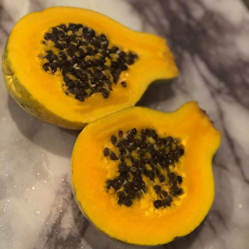 Usa Organic Golden Yellow Papaya 20-160 Seeds